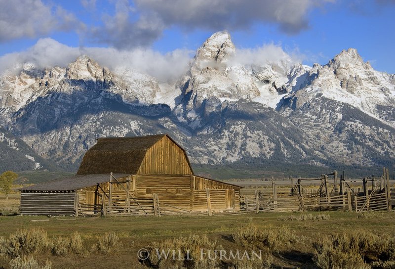 PURPLE MOUNTAINS MAJESTIES - 1257.jpg