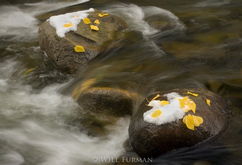 RIVER OF DREAMS - 1253.jpg