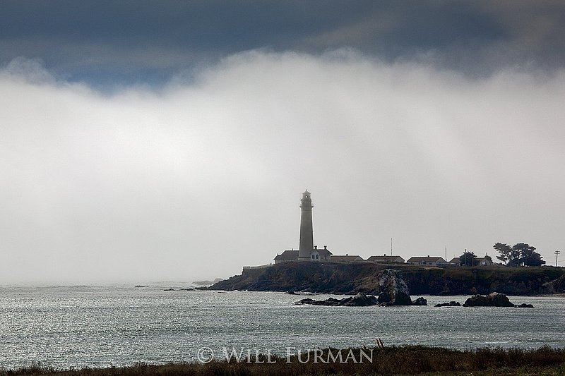 SEA FOG COMES LIKE A RIVER - 1278.jpg