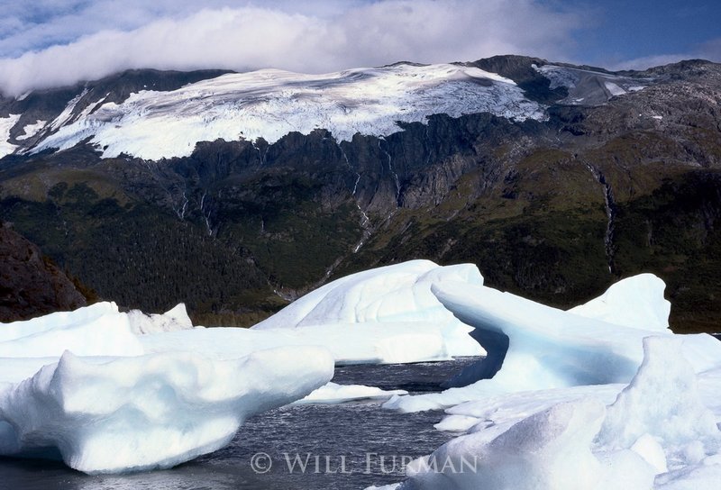SILENT AND COLD BEAUTIFUL - 1119.jpg