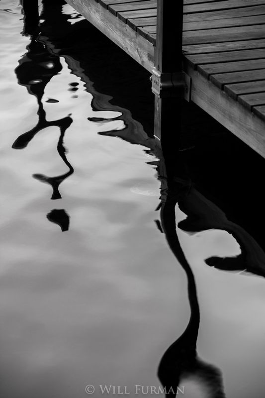 STILL WATERS RUN DEEP -  21101.jpg
