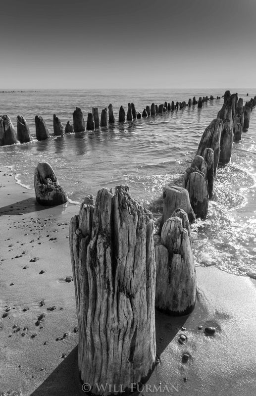 THE DOCK OF THE BAY - 21111.jpg
