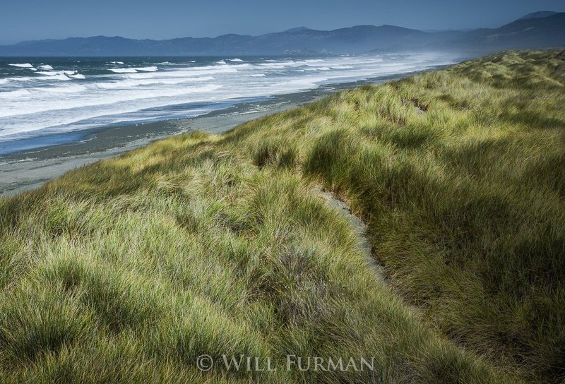 THE SUMMER WIND CAME BLOWING ACROSS THE SEA - 1180.jpg