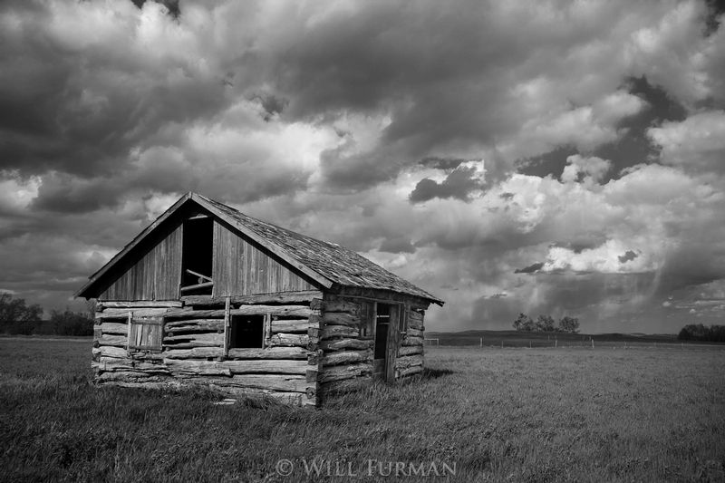 THEY CAME IN COVERED WAGONS - 2103.jpg