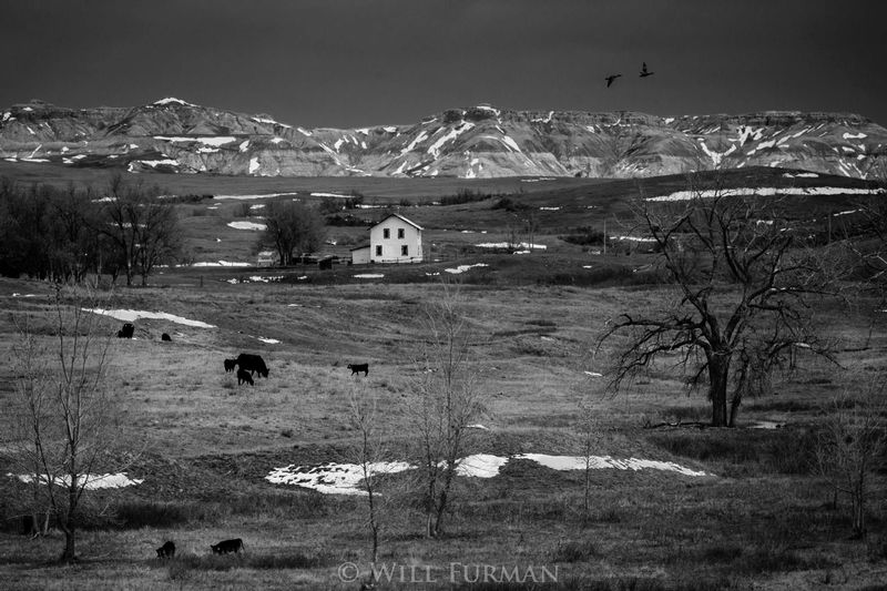 WAY OUT WEST - 2102_.jpg