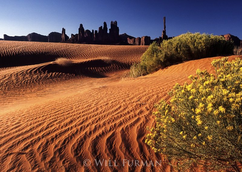 WHERE SANDS SING IN CRIMSON  -  1510.jpg