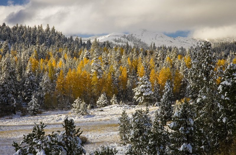 WINTER WONDERLAND - 1226.jpg
