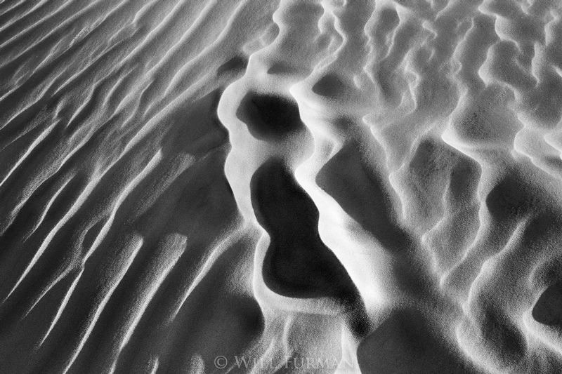 WOMAN IN THE SHADOWS - 1433.jpg