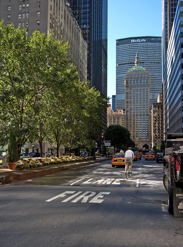 Park Avenue.jpg