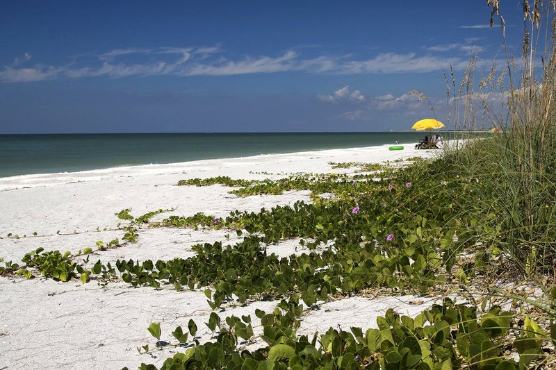 Sanibel Island.jpg