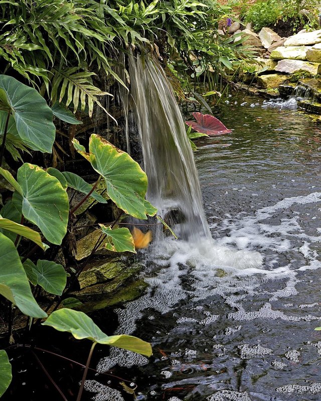 Waterfall.jpg