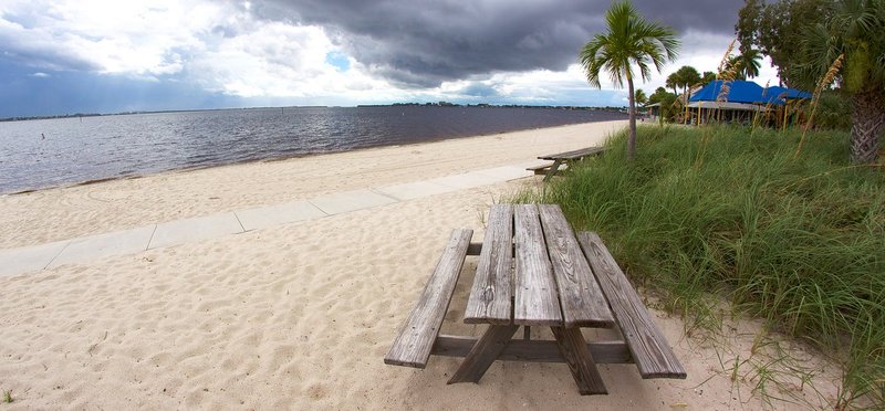 Picnic Table YC.jpg
