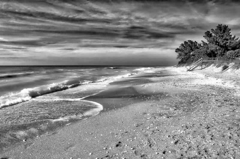 The Long Quiet Surf.jpg