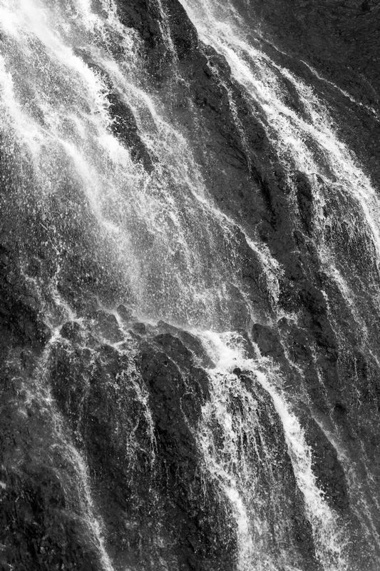 IMG_0012bw.jpg