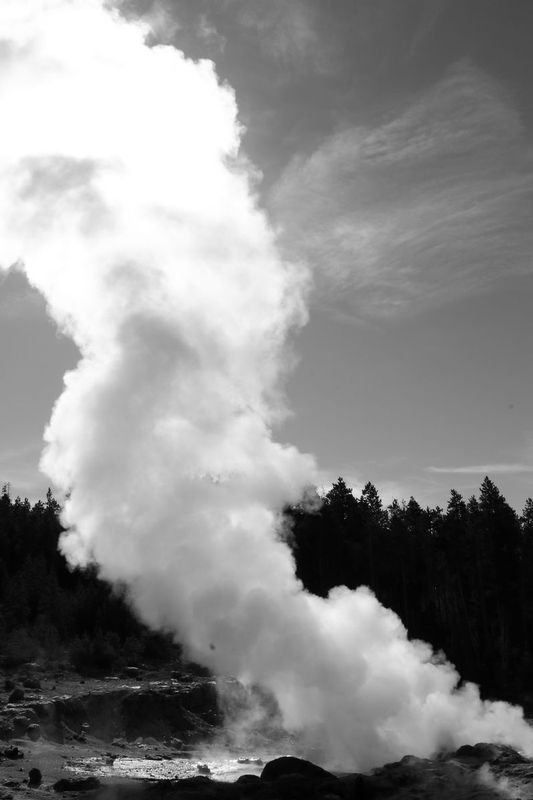 IMG_0193bw.jpg