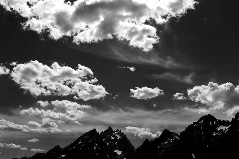 IMG_0226sbw1.jpg