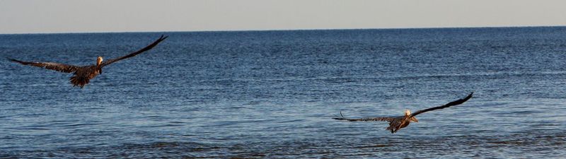 IMG_0273s_edited-1.jpg