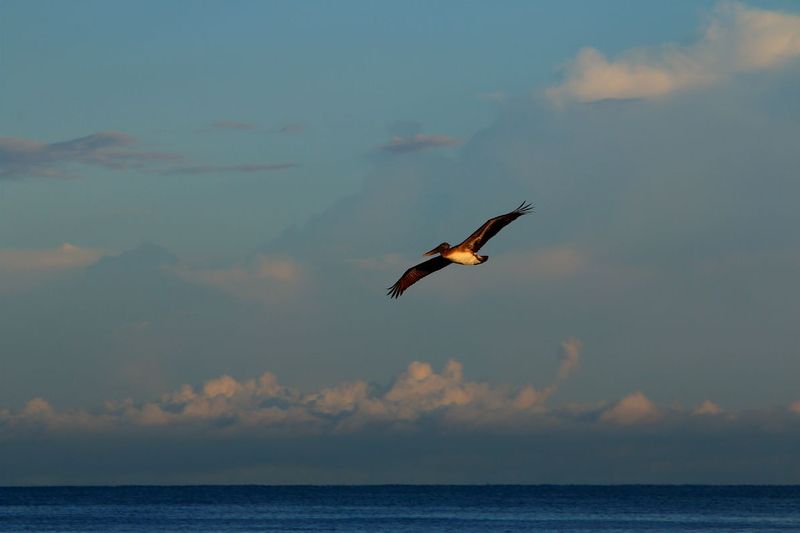 IMG_0383s.jpg