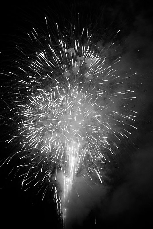 IMG_0386s1.jpg