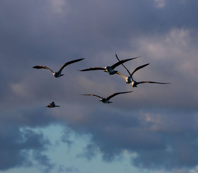 IMG_0474s.jpg