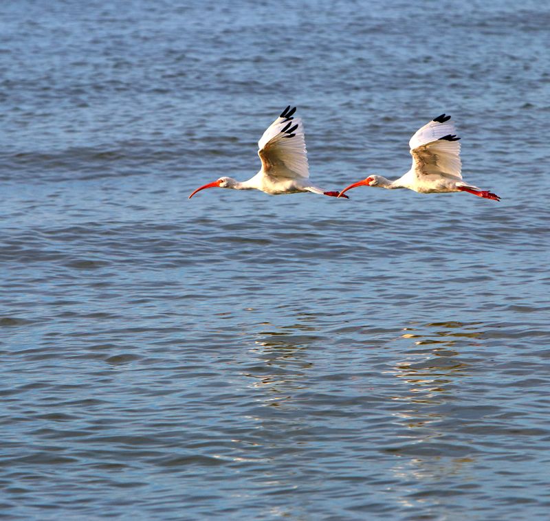 IMG_0528s_edited-1.jpg