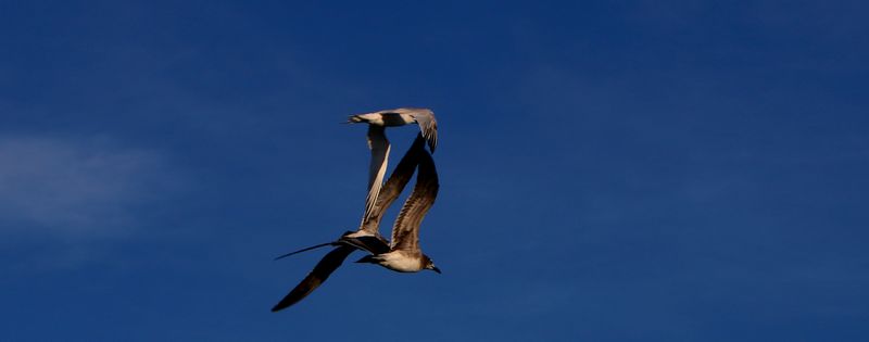 IMG_0543s.jpg