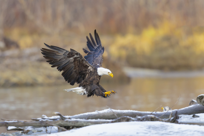 _E5A0702-Edit.jpg