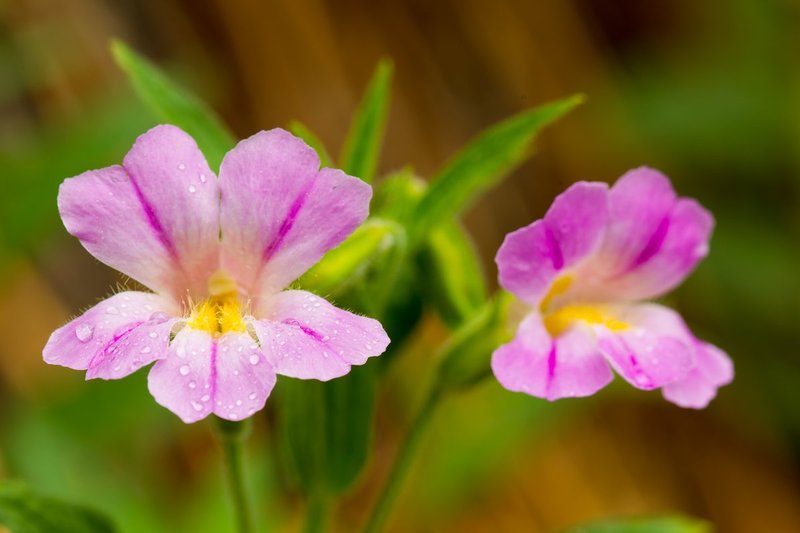 20130711-_MG_0012.jpg