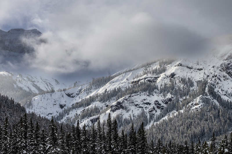 Yellowstone-18.jpg