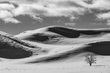 Yellowstone-5.jpg