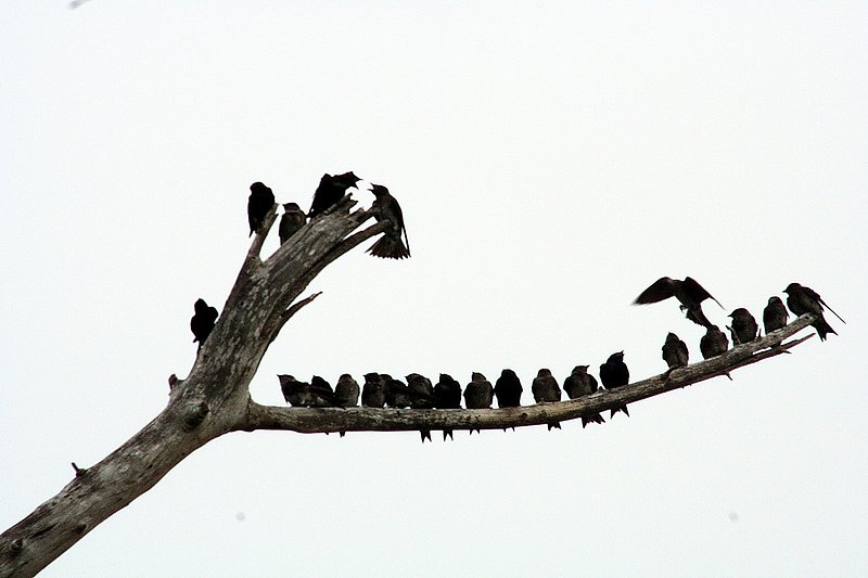Crowded.jpg