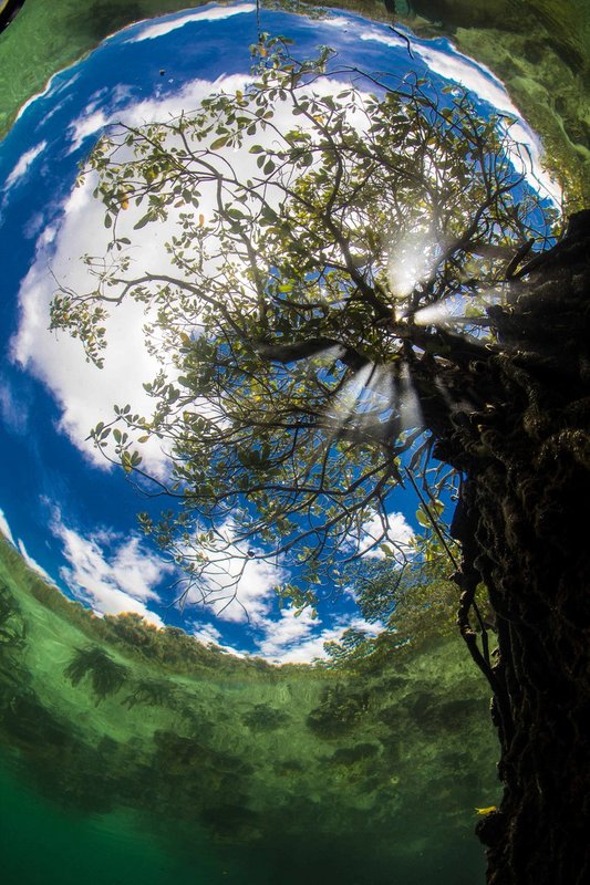 Different Perspective.jpg