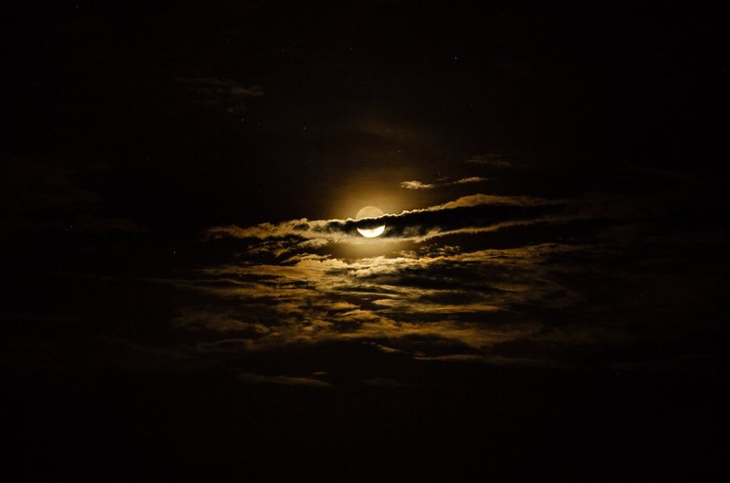 La Nuit.jpg