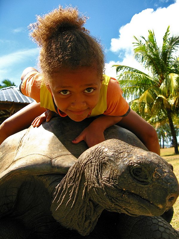 The Tortoise Girl.jpg