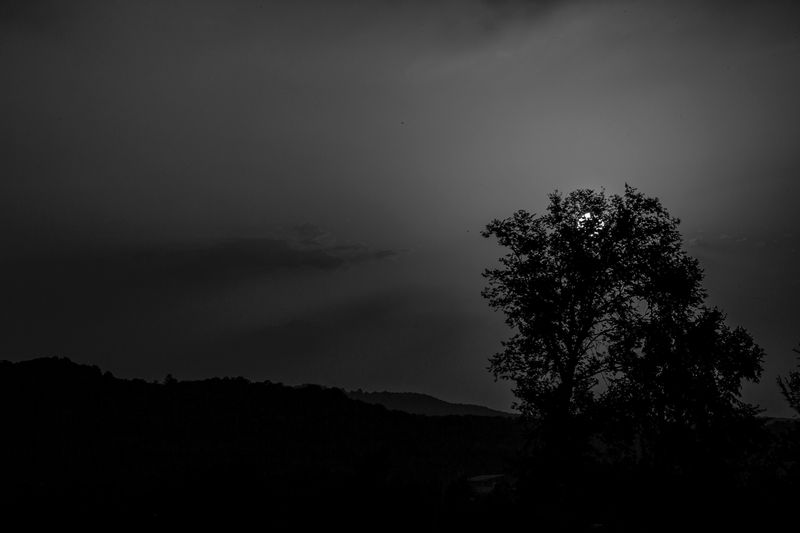 IMG_0483-2.jpg