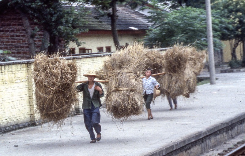 China -10.jpg :: #camcofotofriday