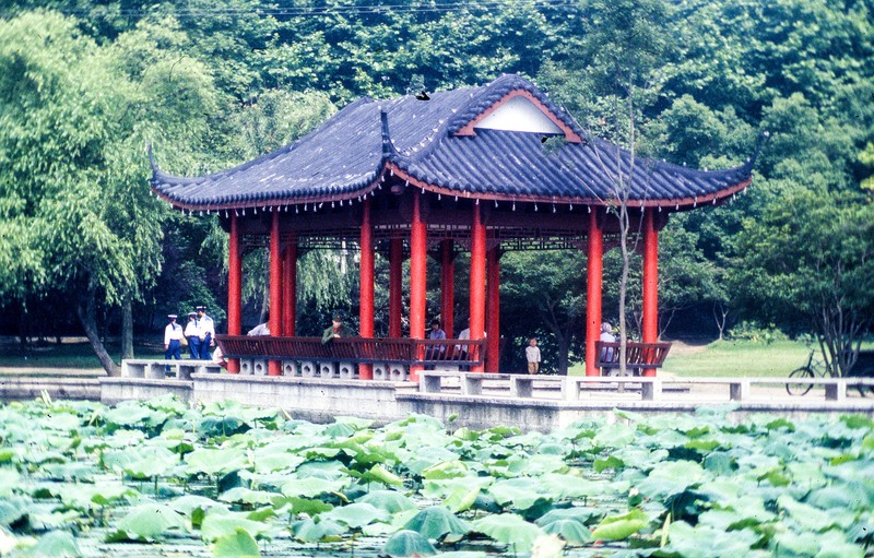China -18.jpg