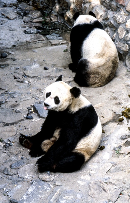 China -36.jpg