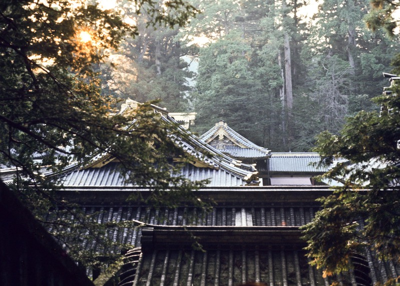 Japan-10.jpg
