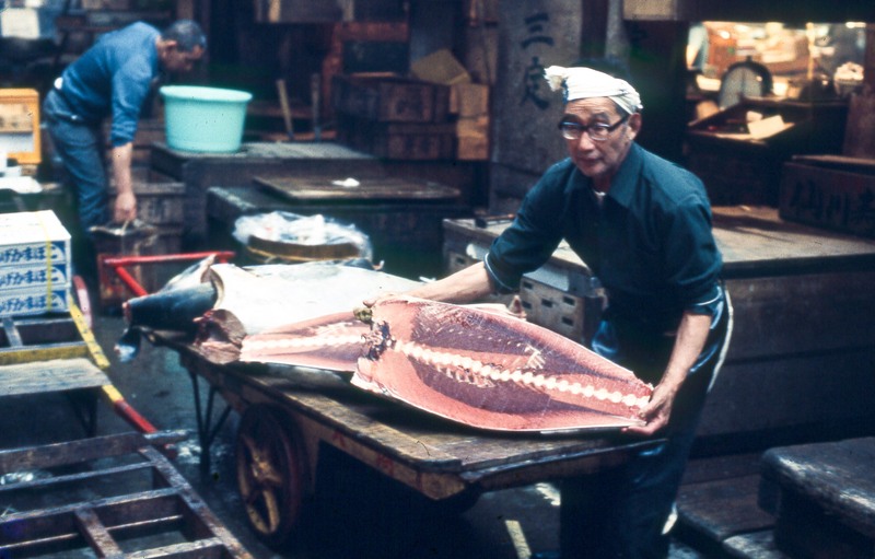 Japan-21.jpg