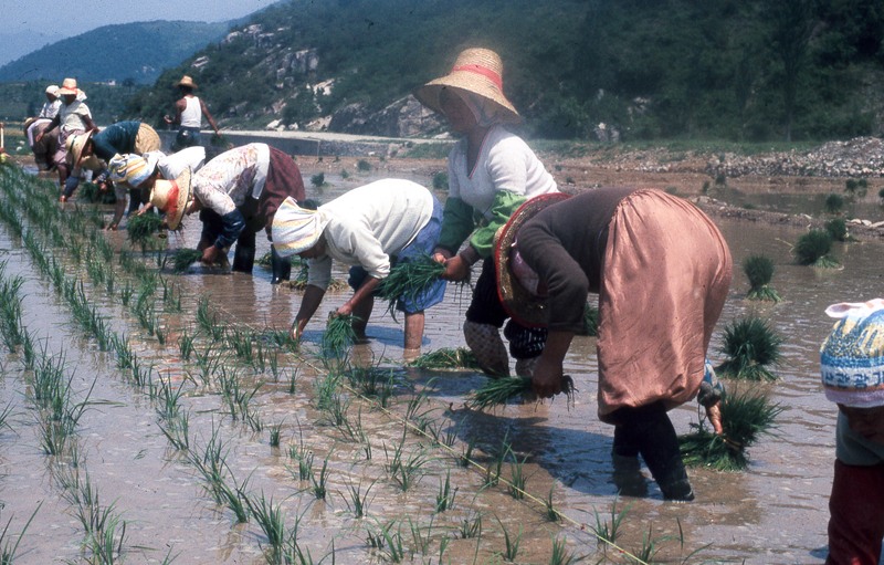 Japan-25.jpg