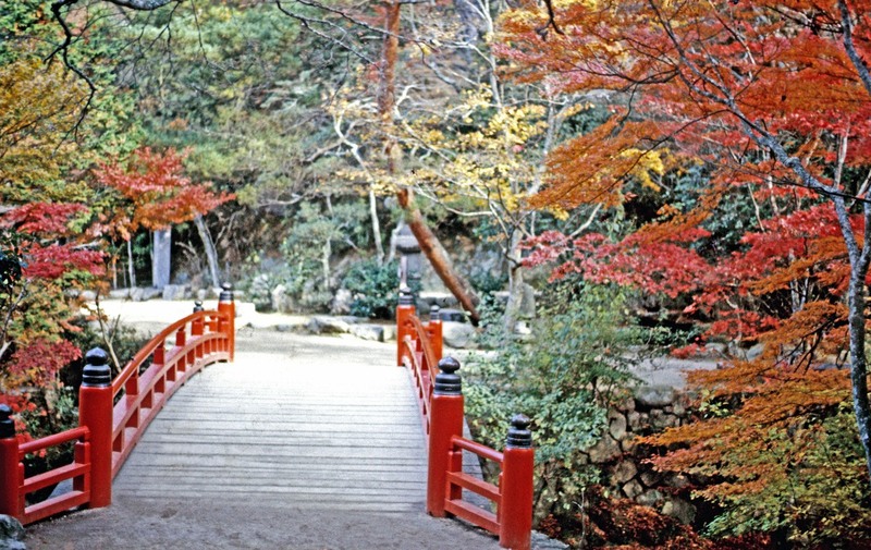Japan-29.jpg