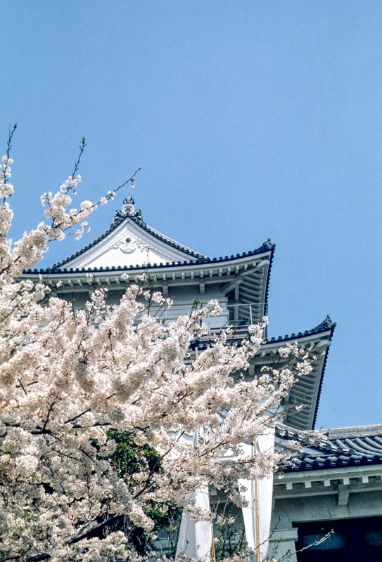 Japan-6.jpg