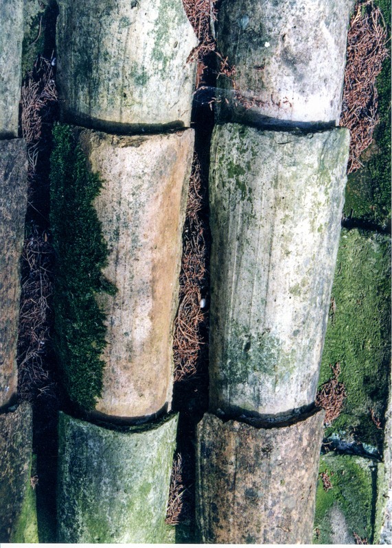 Korea-1(1).jpg :: Roof Tiles At A Temple