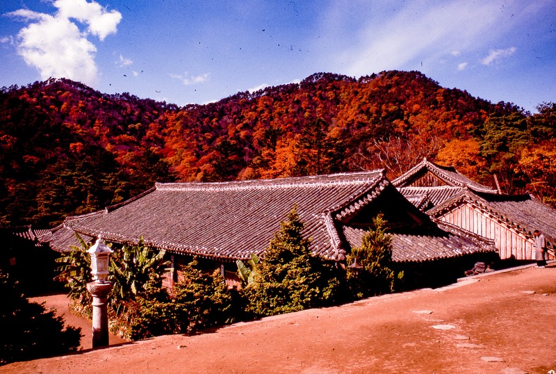 Korea-12.jpg