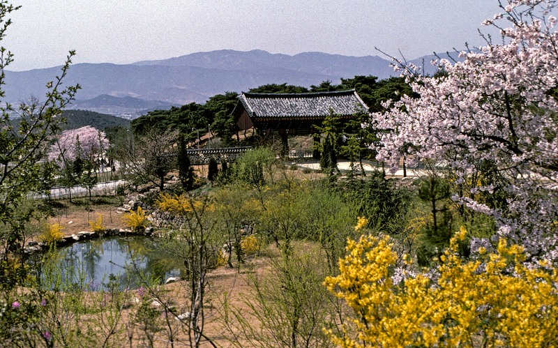 Korea-21.jpg