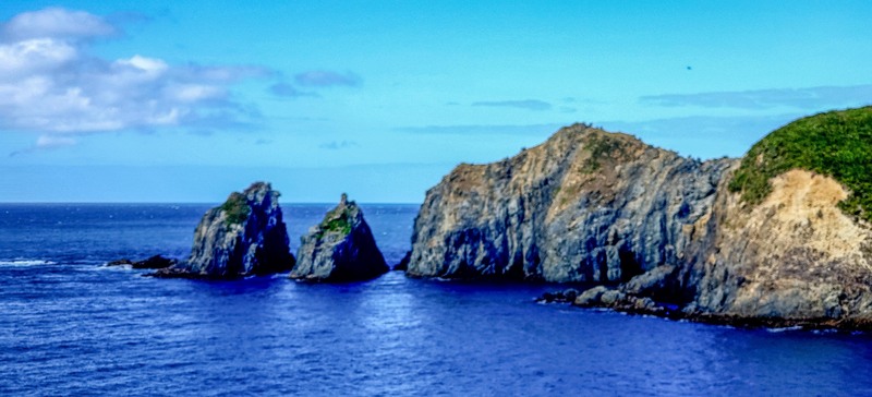 New Zealand-13.jpg