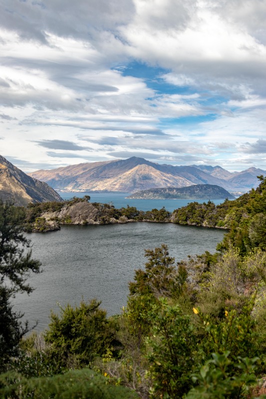 New Zealand-19(1).jpg