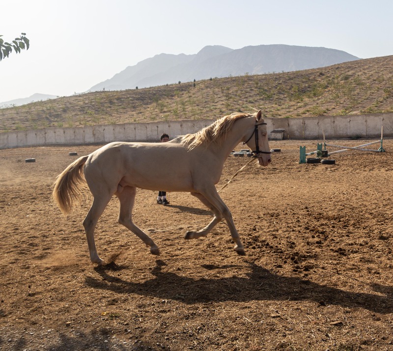 Turkmenistan-1.jpg