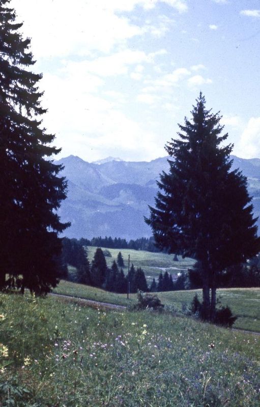 Austria-6.jpg